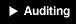 Auditing