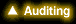 Auditing